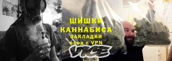 твердый Тында