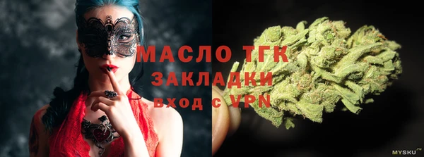 твердый Тында