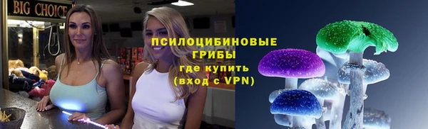 соль ск Елизово