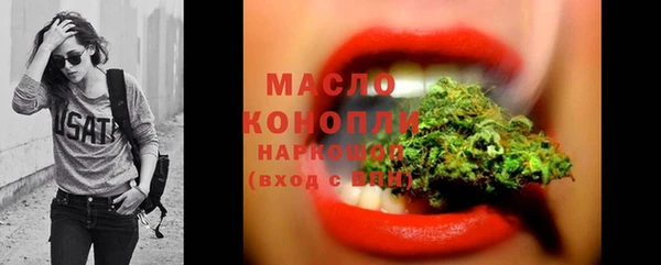 молекула духа Елабуга