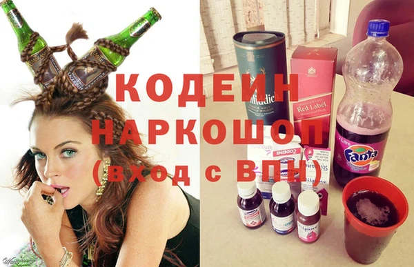 молекула духа Елабуга