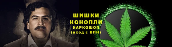 дурь Тутаев