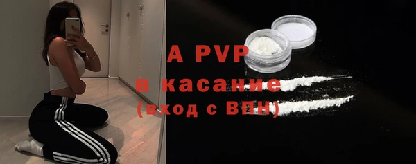 молекула духа Елабуга