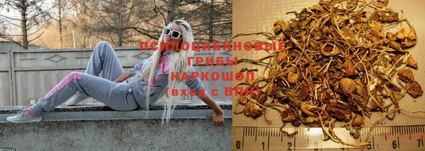 твердый Тында