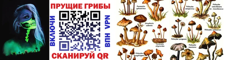 Галлюциногенные грибы MAGIC MUSHROOMS  mega ссылки  Ростов-на-Дону  даркнет сайт 
