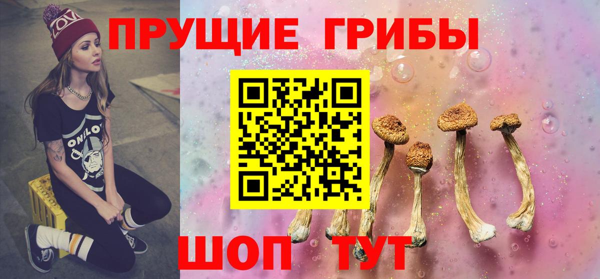 Галлюциногенные грибы прущие грибы Ростов-на-Дону