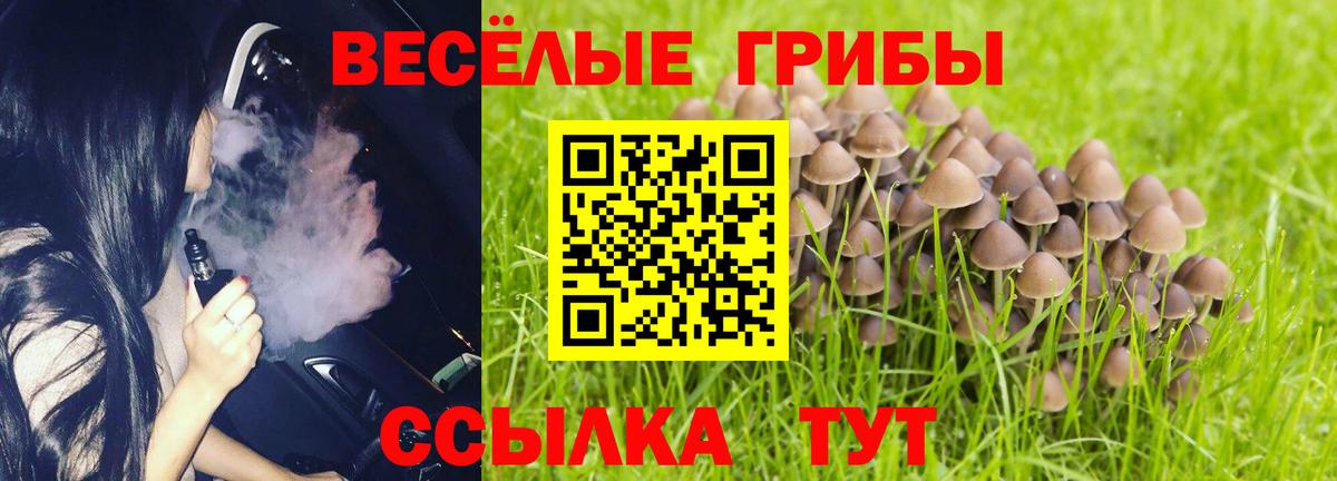 Псилоцибиновые грибы Psilocybine cubensis Ростов-на-Дону